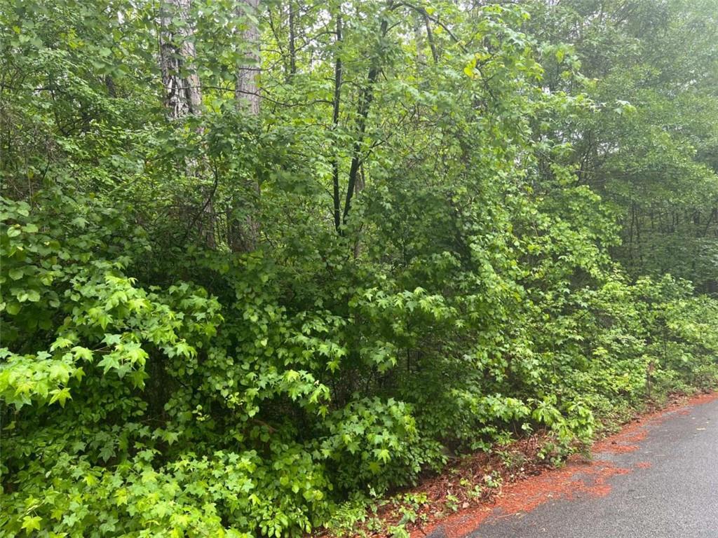 3735 Millstream Lane Stockbridge, GA 30281 - Photo 7 of 8