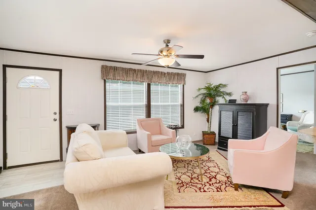a living room with furniture potted plant and a large window