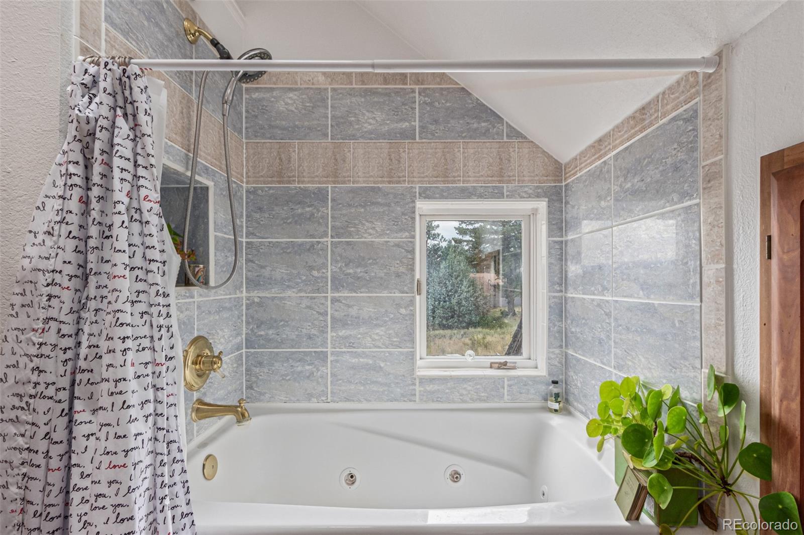 215 Lakeshore Park Road Boulder, CO 80302 - Photo 27 of 33 a bathroom with a shower and a bathtub