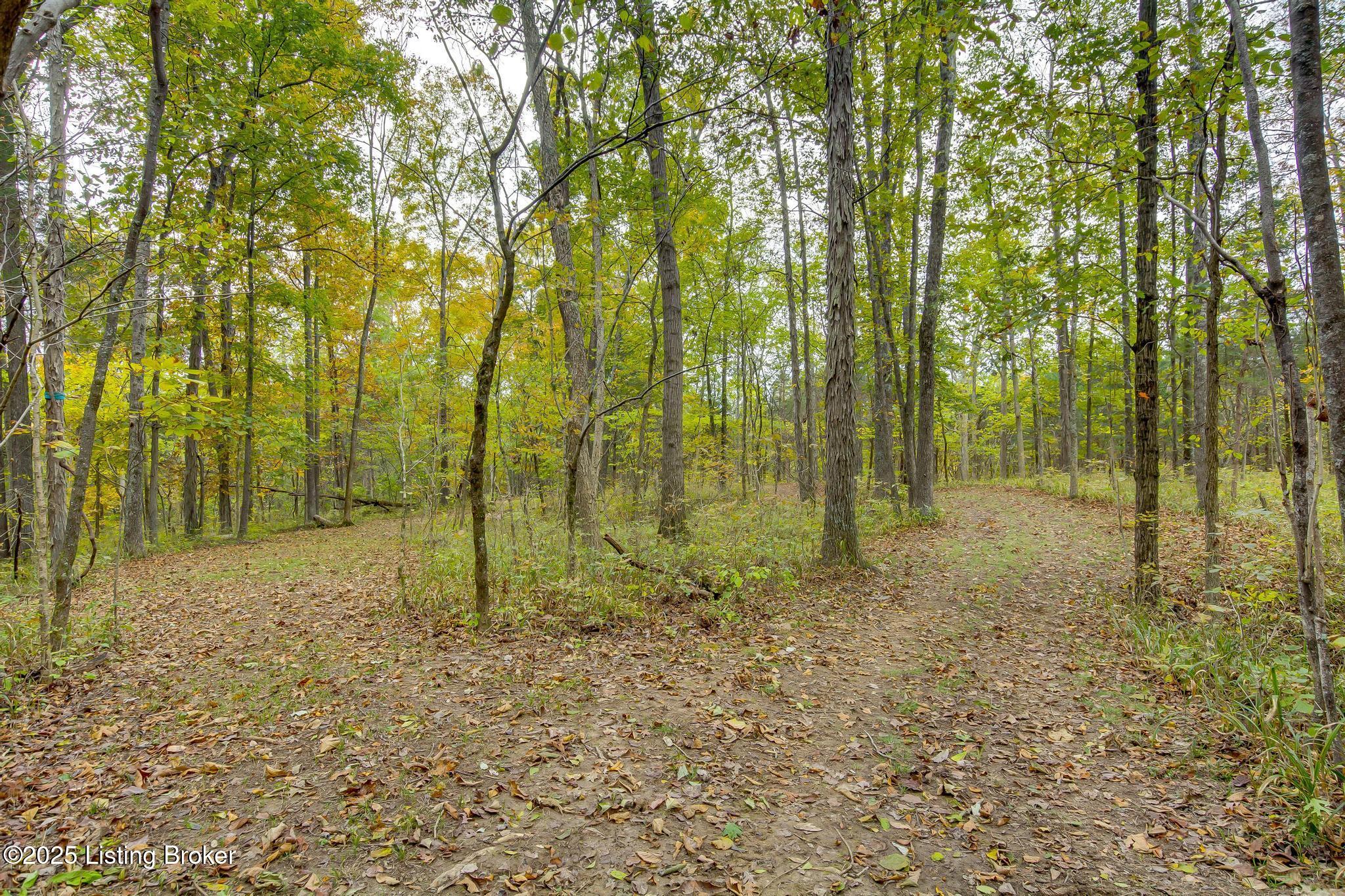 Lot 8 Bray Ridge Road Bedford, KY 40006 - Photo 34 of 46 BrayRidgeRd_764