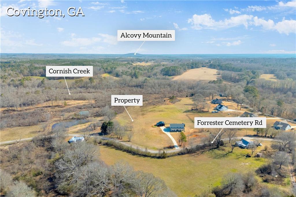 0 Forrester Cemetery Road Covington, GA 30014 - Photo 11 of 19