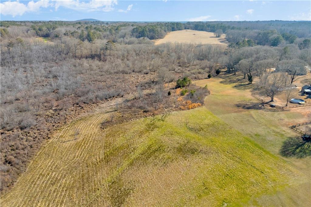 0 Forrester Cemetery Road Covington, GA 30014 - Photo 14 of 19