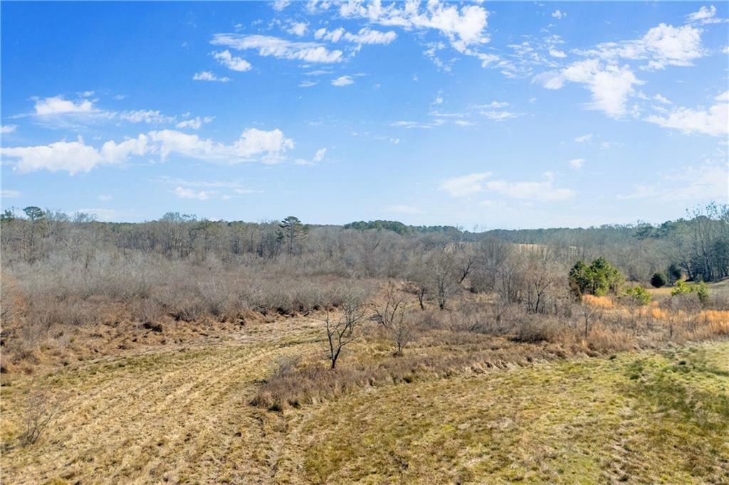 0 Forrester Cemetery Road Covington, GA 30014 - Photo 17 of 19