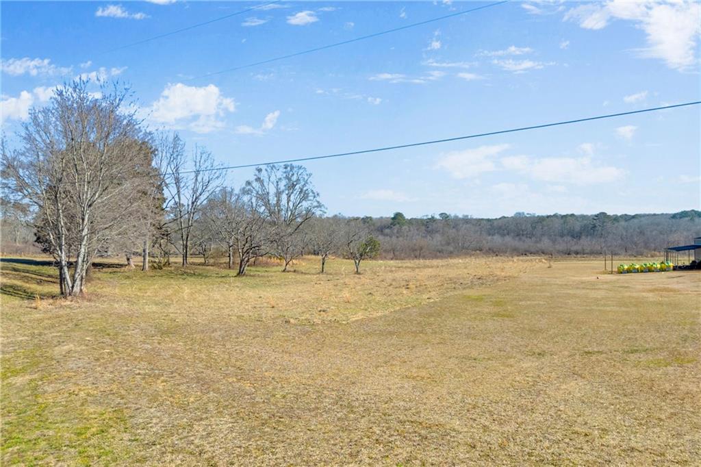 0 Forrester Cemetery Road Covington, GA 30014 - Photo 19 of 19
