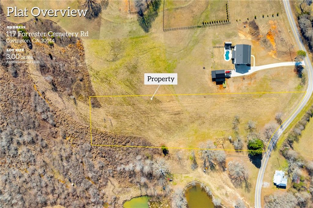 0 Forrester Cemetery Road Covington, GA 30014 - Photo 2 of 19