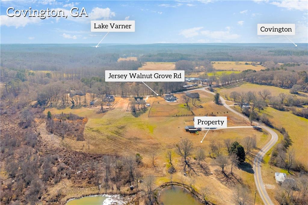 0 Forrester Cemetery Road Covington, GA 30014 - Photo 3 of 19