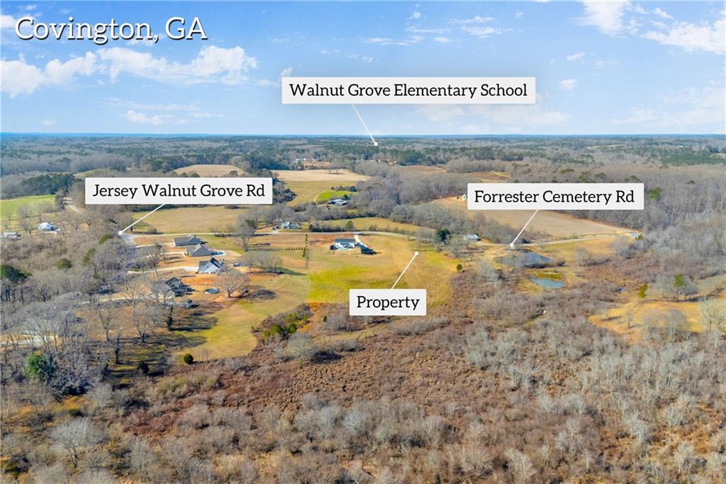 0 Forrester Cemetery Road Covington, GA 30014 - Photo 7 of 19