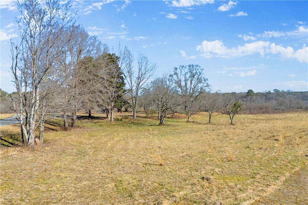0 Forrester Cemetery Road Covington, GA 30014 - Photo 8 of 19