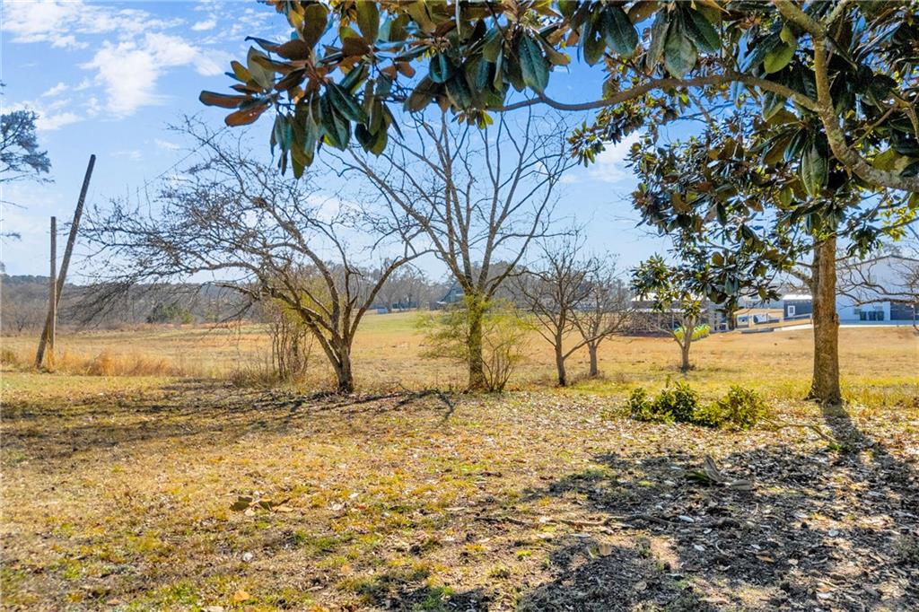 0 Forrester Cemetery Road Covington, GA 30014 - Photo 10 of 19