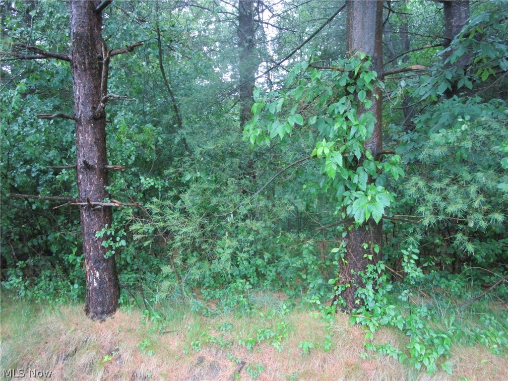 Vl Callender Road Rock Creek, OH 44084 - Photo 4 of 6