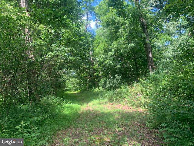 5353 Cito Road McConnellsburg, PA 17233 - Photo 13 of 15 Serene woodland path to rear of the property