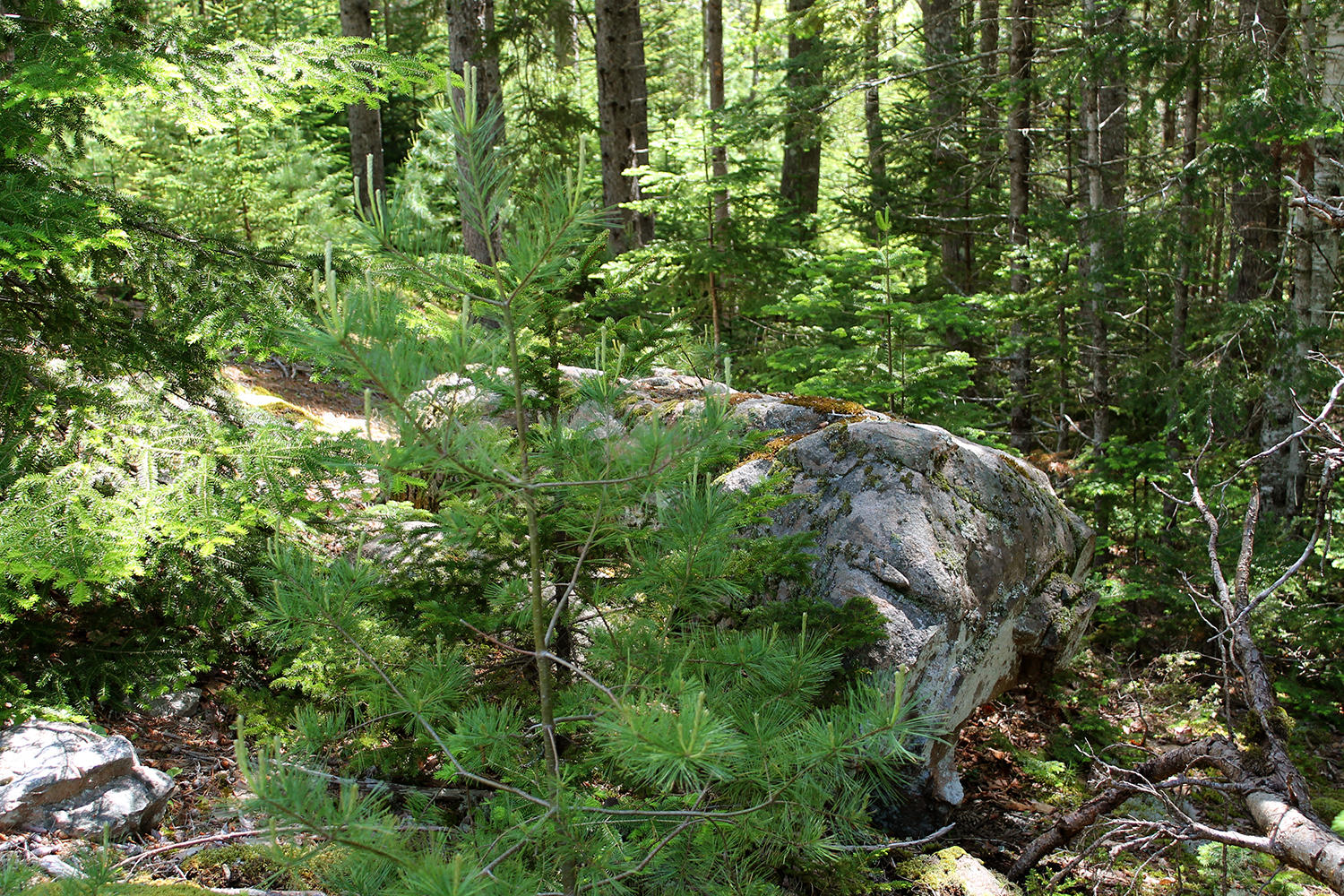 10 Patterson Hill Road Mount Desert, ME 04660 - Photo 2 of 14 Boulder