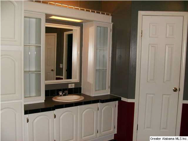 1250 County Road 152 Jemison, AL 35085 - Photo 19 of 22