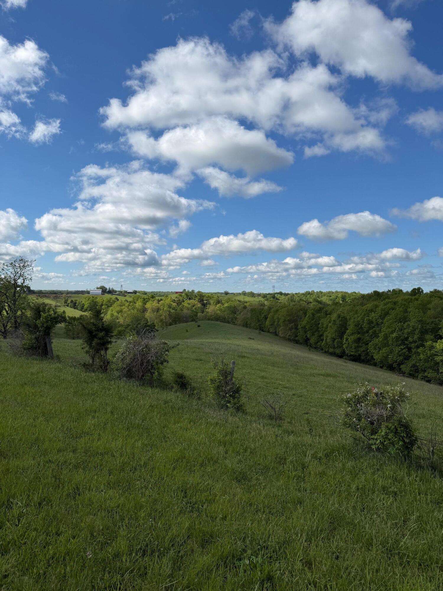 14.17-ac Chipman Ridge Road Williamstown, KY 41097 - Photo 16 of 18