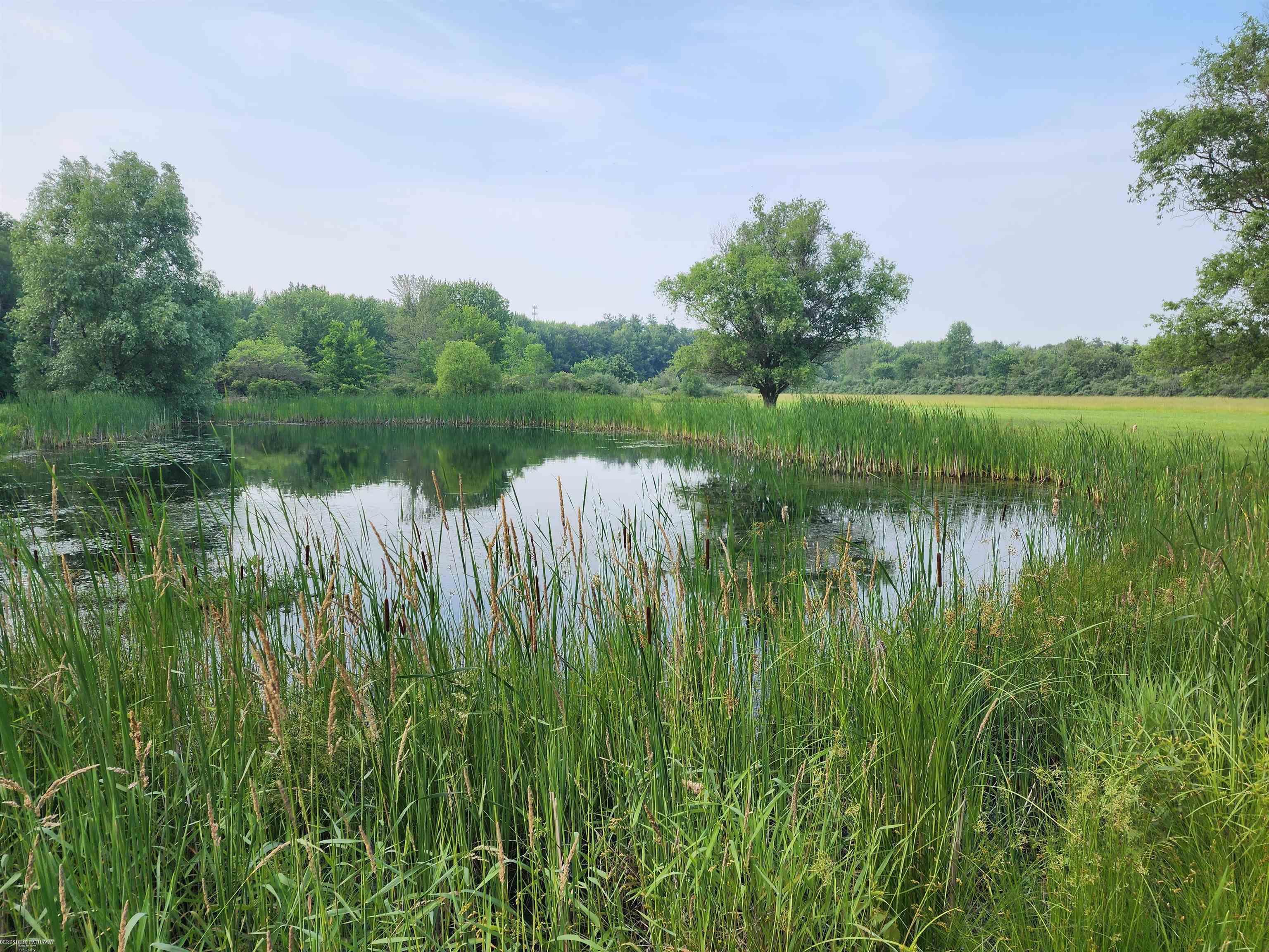 12606 Dunn Road Memphis, MI 48041 - Photo 16 of 34 Natural Pond