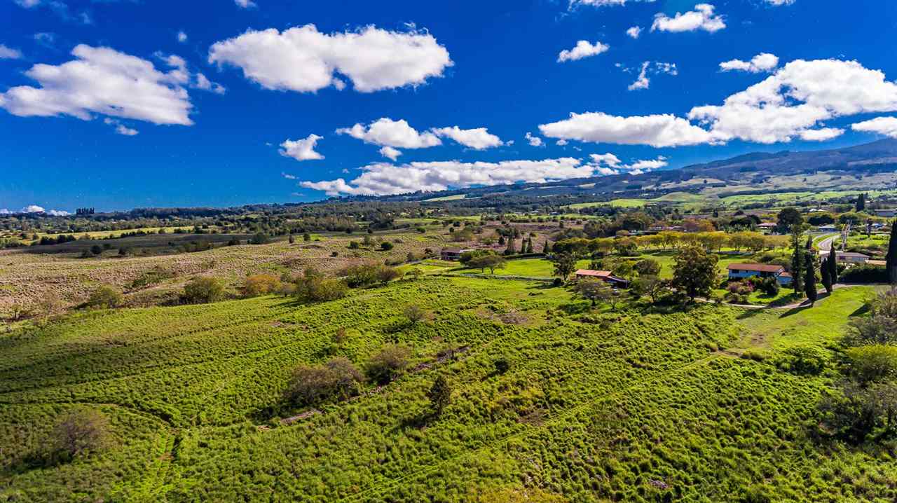 704 Omaopio Road Kula, HI 96790 - Photo 14 of 30 a view of a houses with a yard