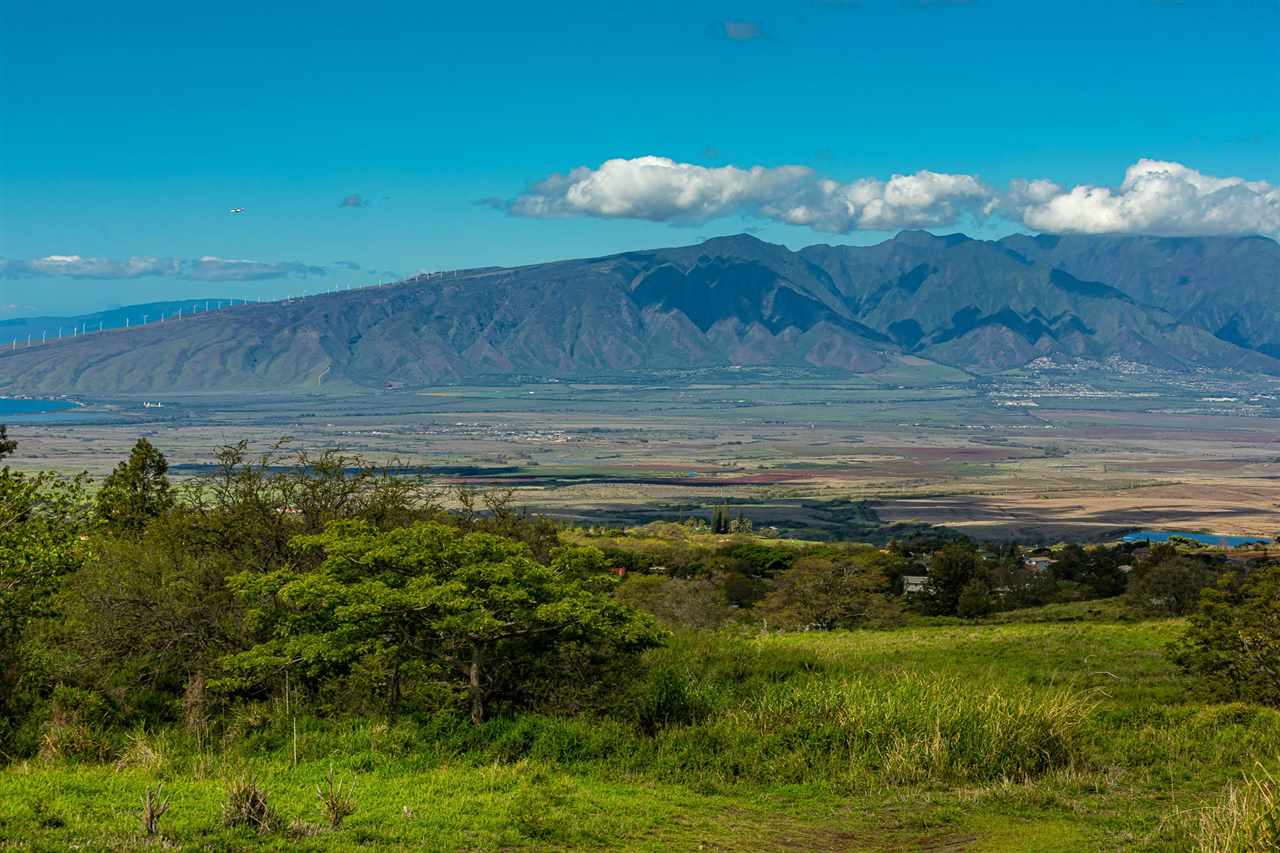 704 Omaopio Road Kula, HI 96790 - Photo 25 of 30 a view of a backyard of the house