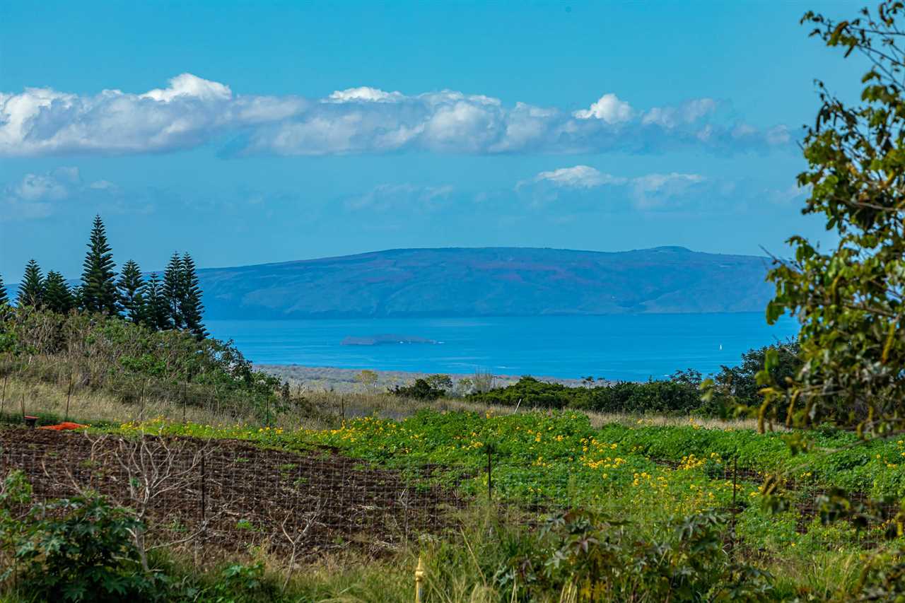 704 Omaopio Road Kula, HI 96790 - Photo 29 of 30 a view of ocean