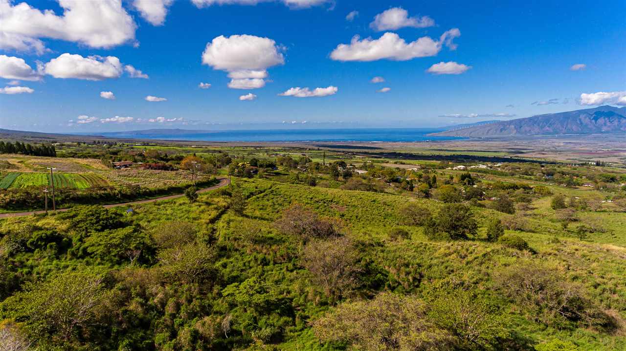 704 Omaopio Road Kula, HI 96790 - Photo 30 of 30 a view of a room with a house