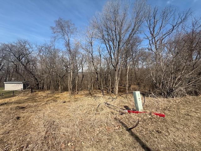 328 Limestone Road Cannon Falls, MN 55009 - Photo 7 of 11