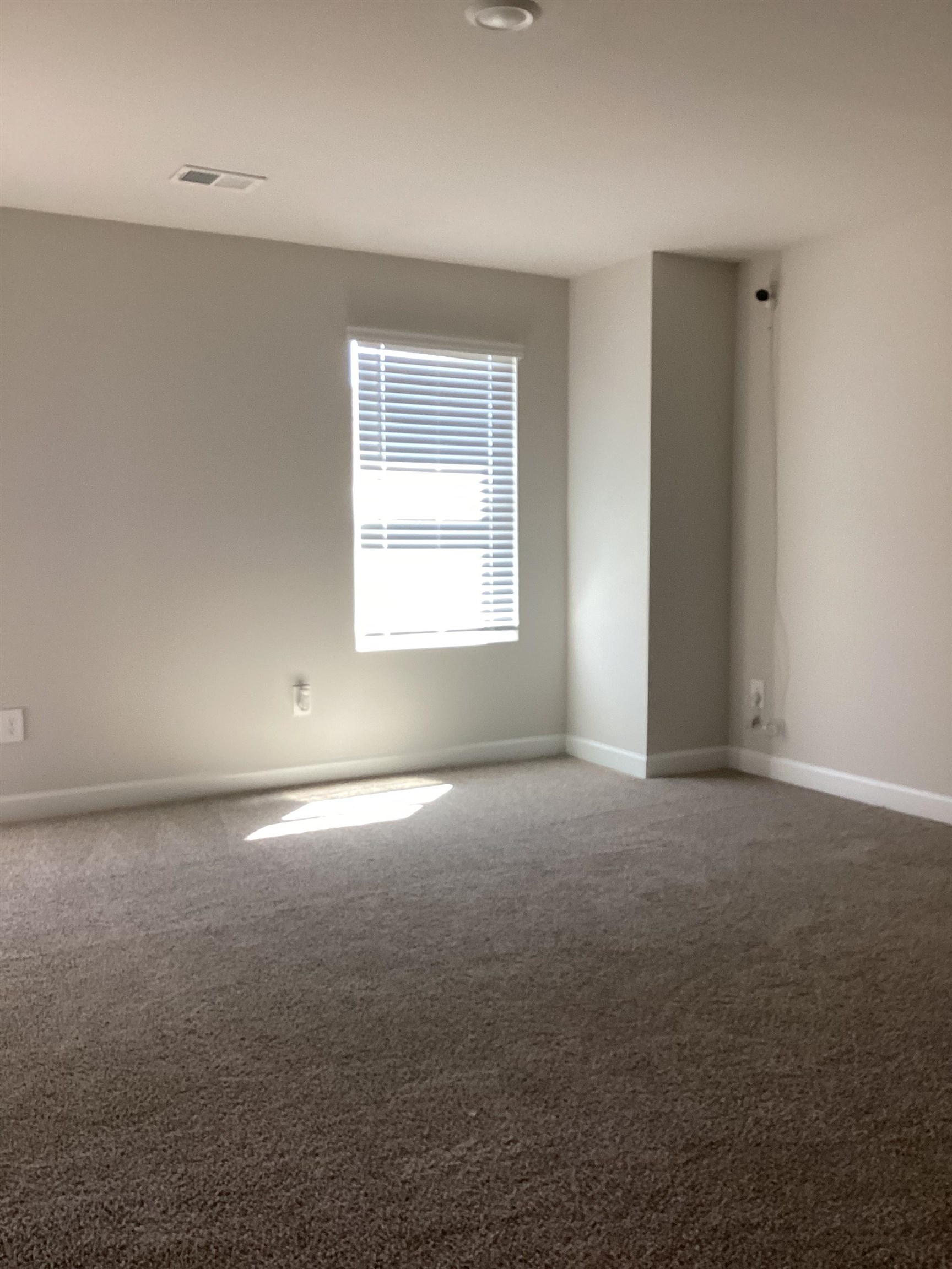 289 Lavinia Circle Duncan, SC 29334 - Photo 21 of 47