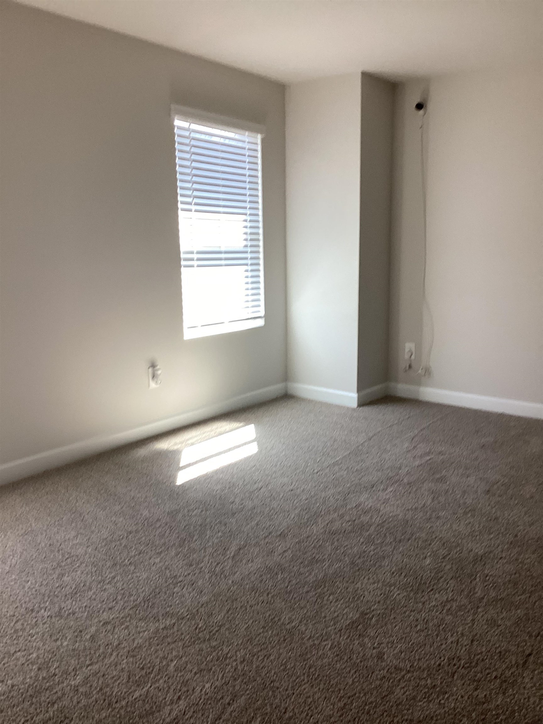 289 Lavinia Circle Duncan, SC 29334 - Photo 34 of 47