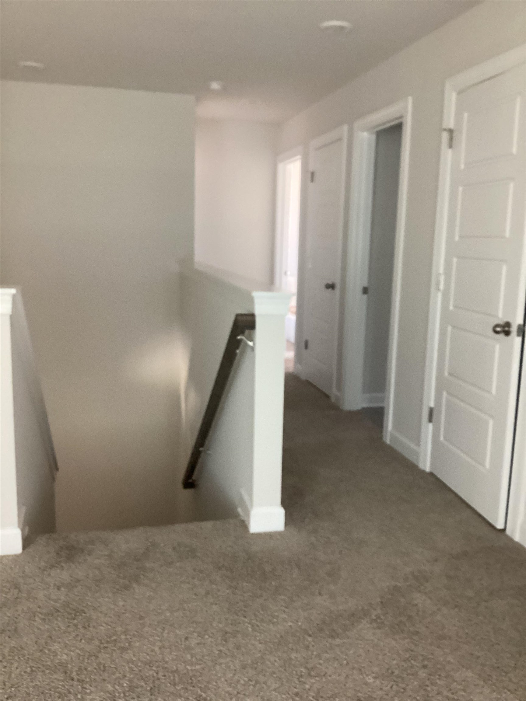 289 Lavinia Circle Duncan, SC 29334 - Photo 35 of 47