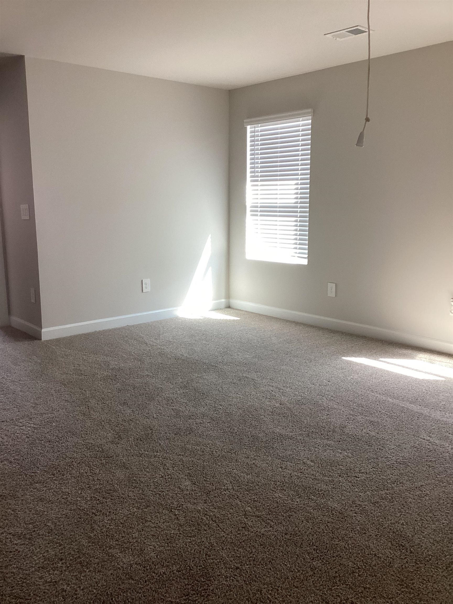 289 Lavinia Circle Duncan, SC 29334 - Photo 38 of 47