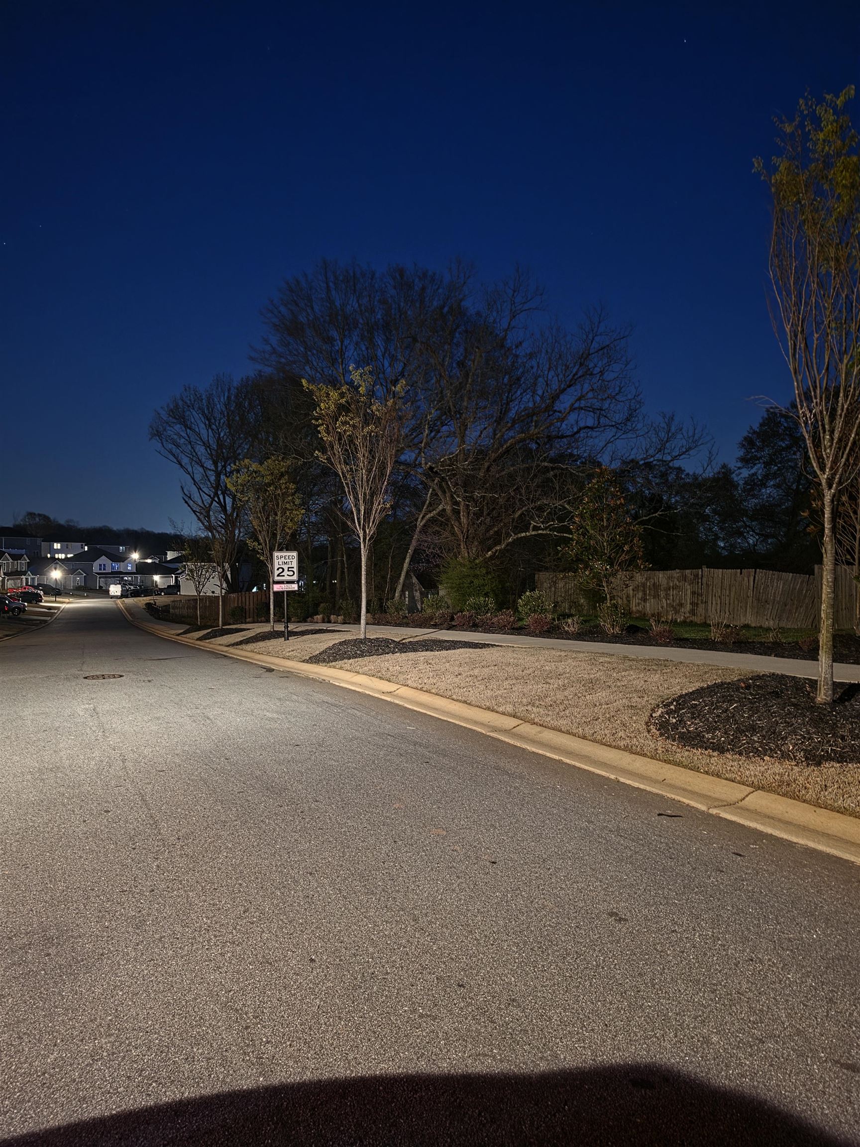 289 Lavinia Circle Duncan, SC 29334 - Photo 42 of 47