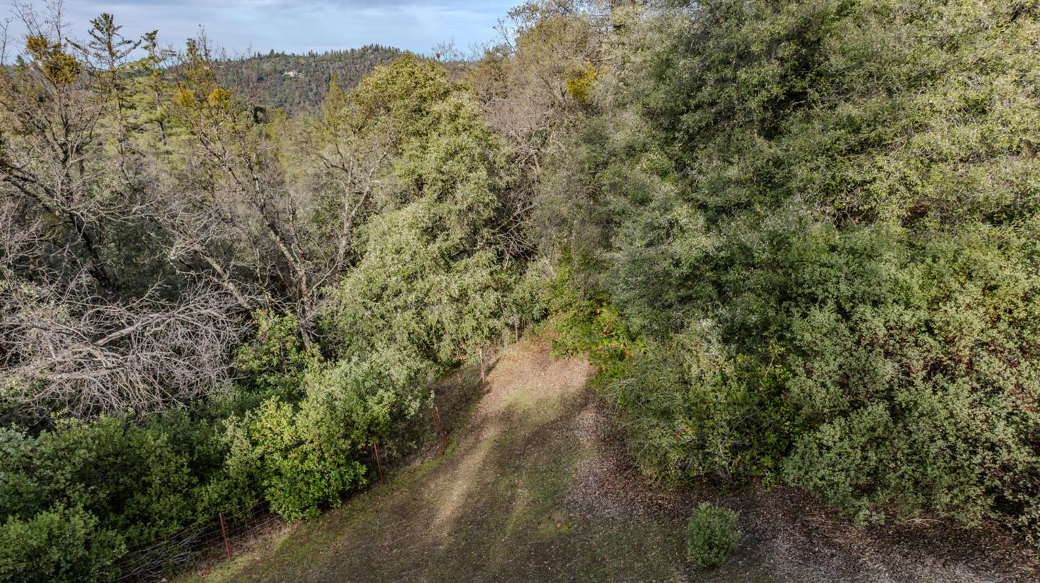 13171 Ridge Court Sutter Creek, CA 95685 - Photo 60 of 66 Gallery Image 60