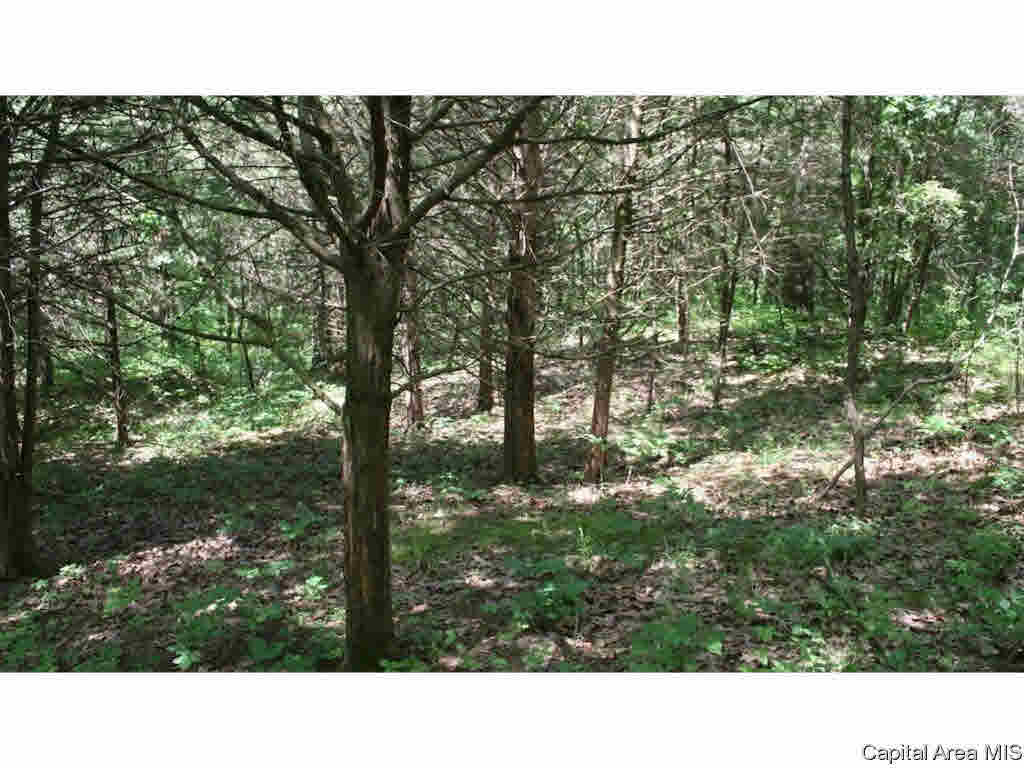 North Barnes Road Camden, IL 62319 - Photo 15 of 36