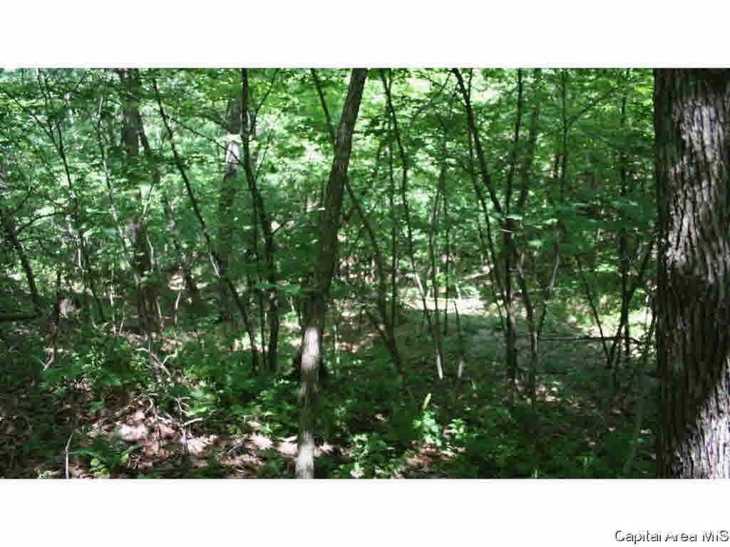 North Barnes Road Camden, IL 62319 - Photo 19 of 36