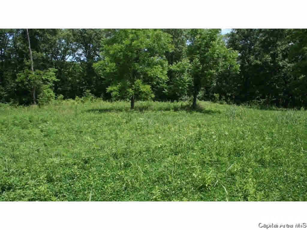 North Barnes Road Camden, IL 62319 - Photo 20 of 36