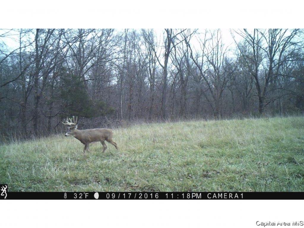 North Barnes Road Camden, IL 62319 - Photo 25 of 36