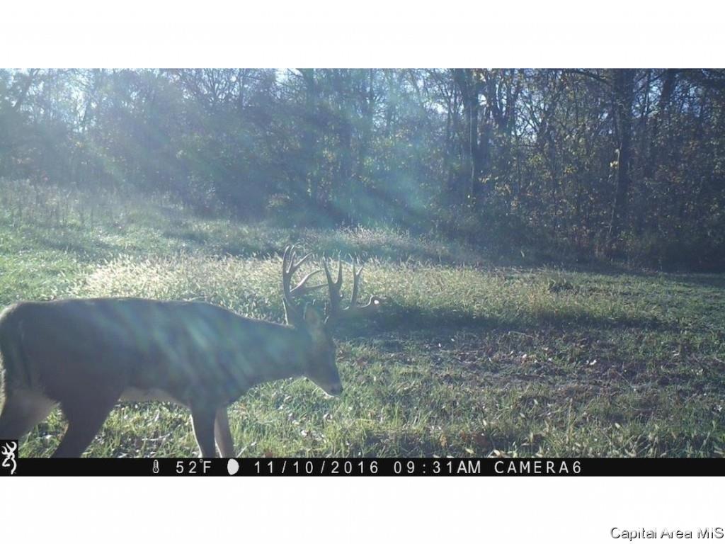 North Barnes Road Camden, IL 62319 - Photo 26 of 36
