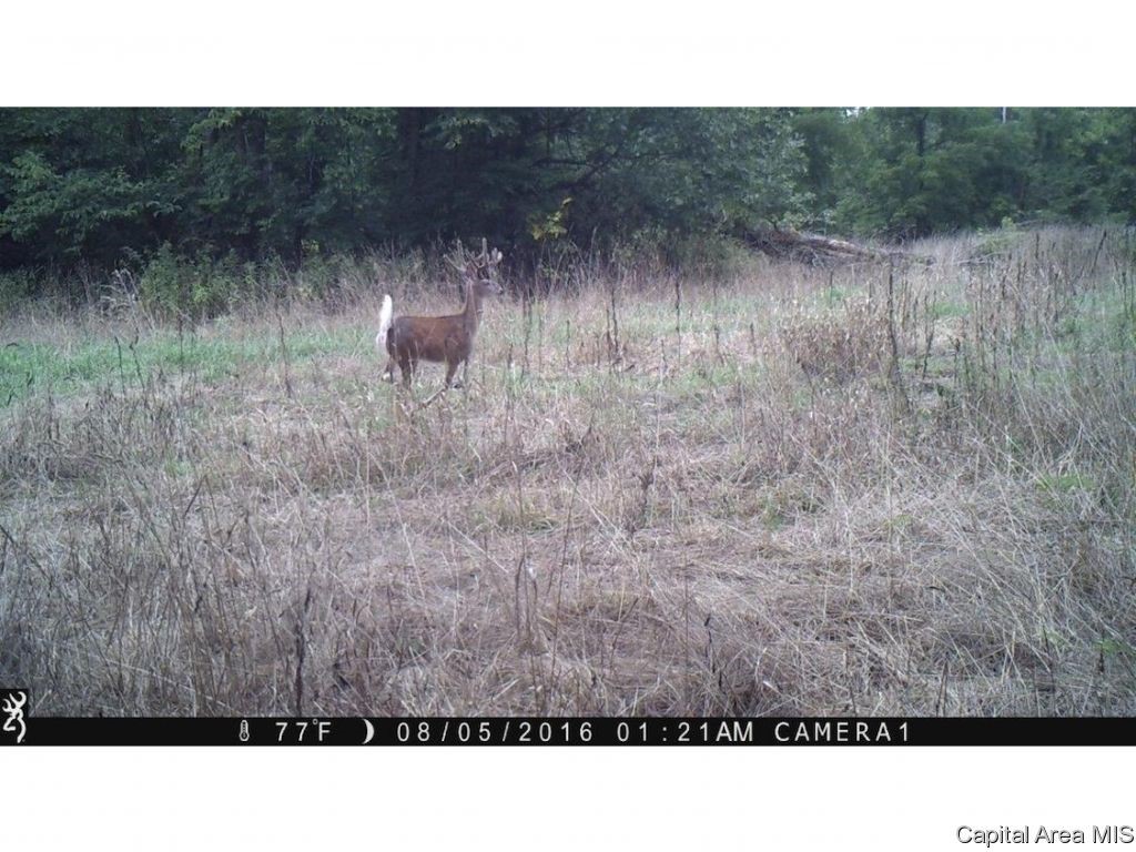 North Barnes Road Camden, IL 62319 - Photo 27 of 36