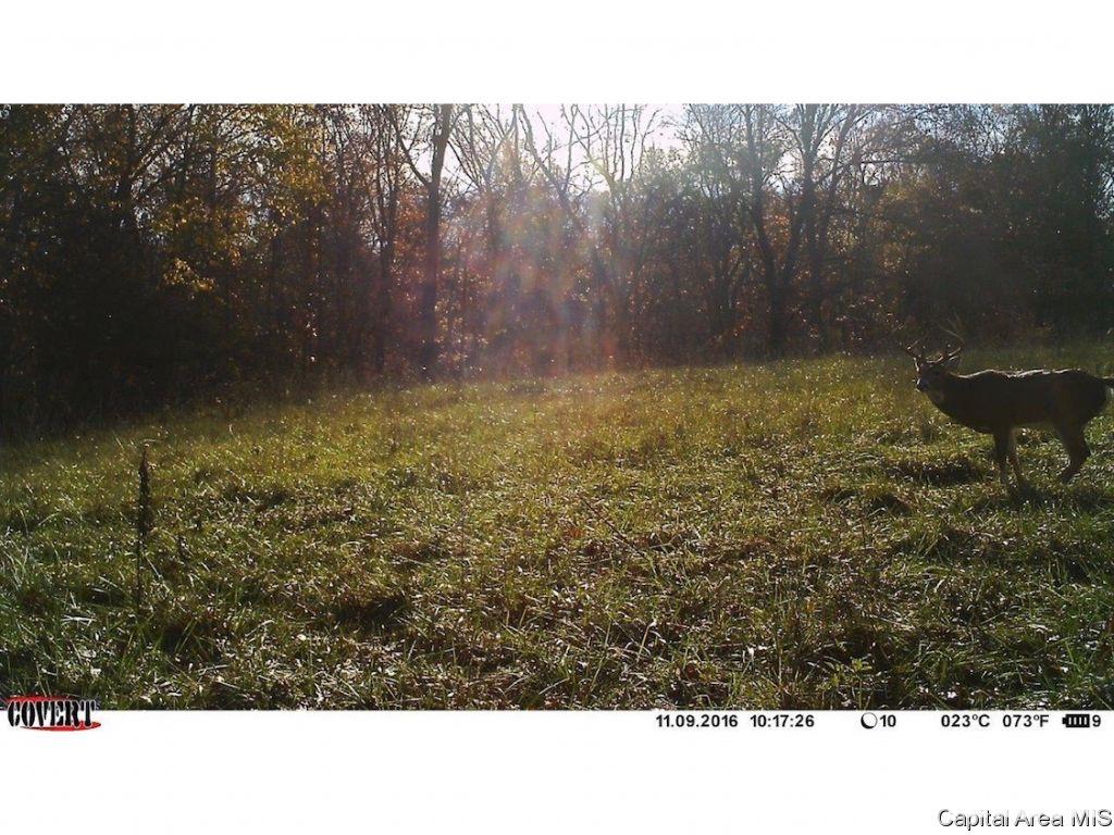 North Barnes Road Camden, IL 62319 - Photo 28 of 36