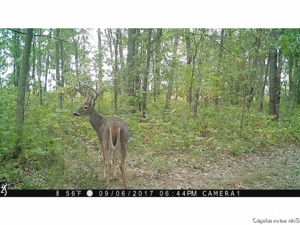 North Barnes Road Camden, IL 62319 - Photo 29 of 36