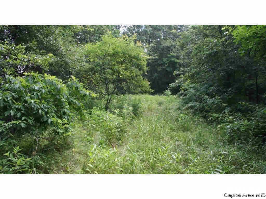 North Barnes Road Camden, IL 62319 - Photo 10 of 36