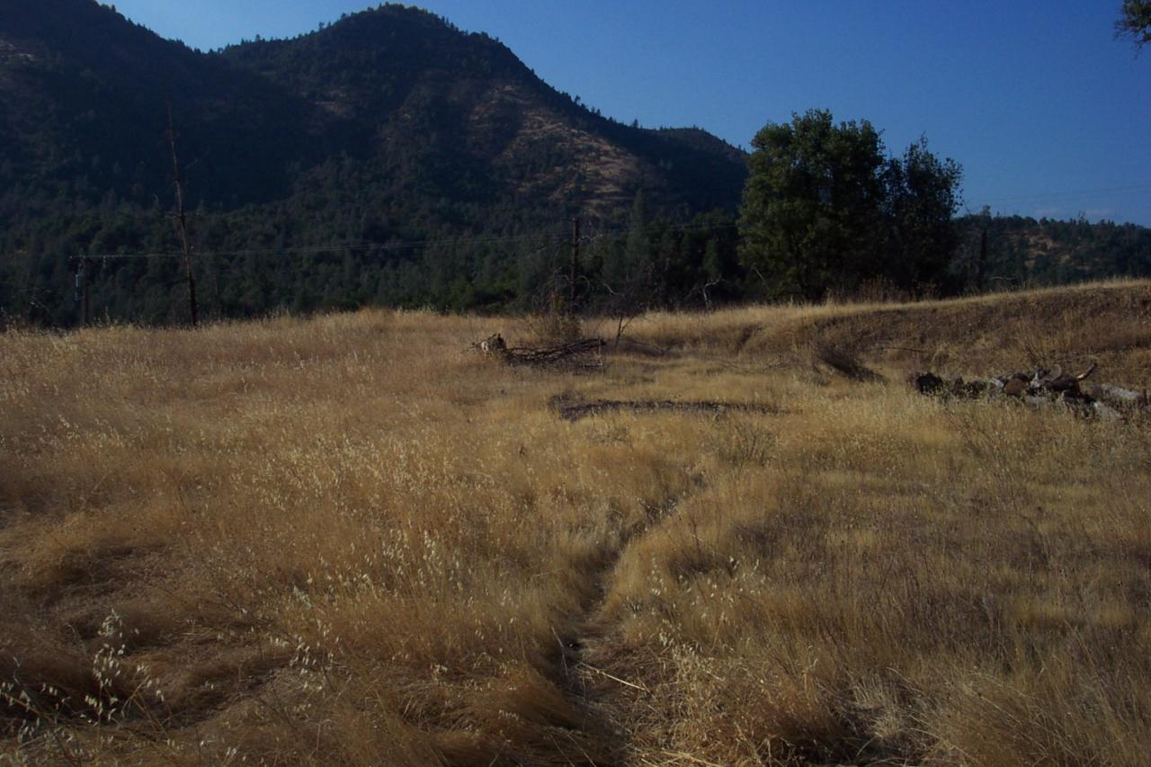Lot 24 Backbone Road Bella Vista, CA 96003 - Photo 1 of 1 Main
