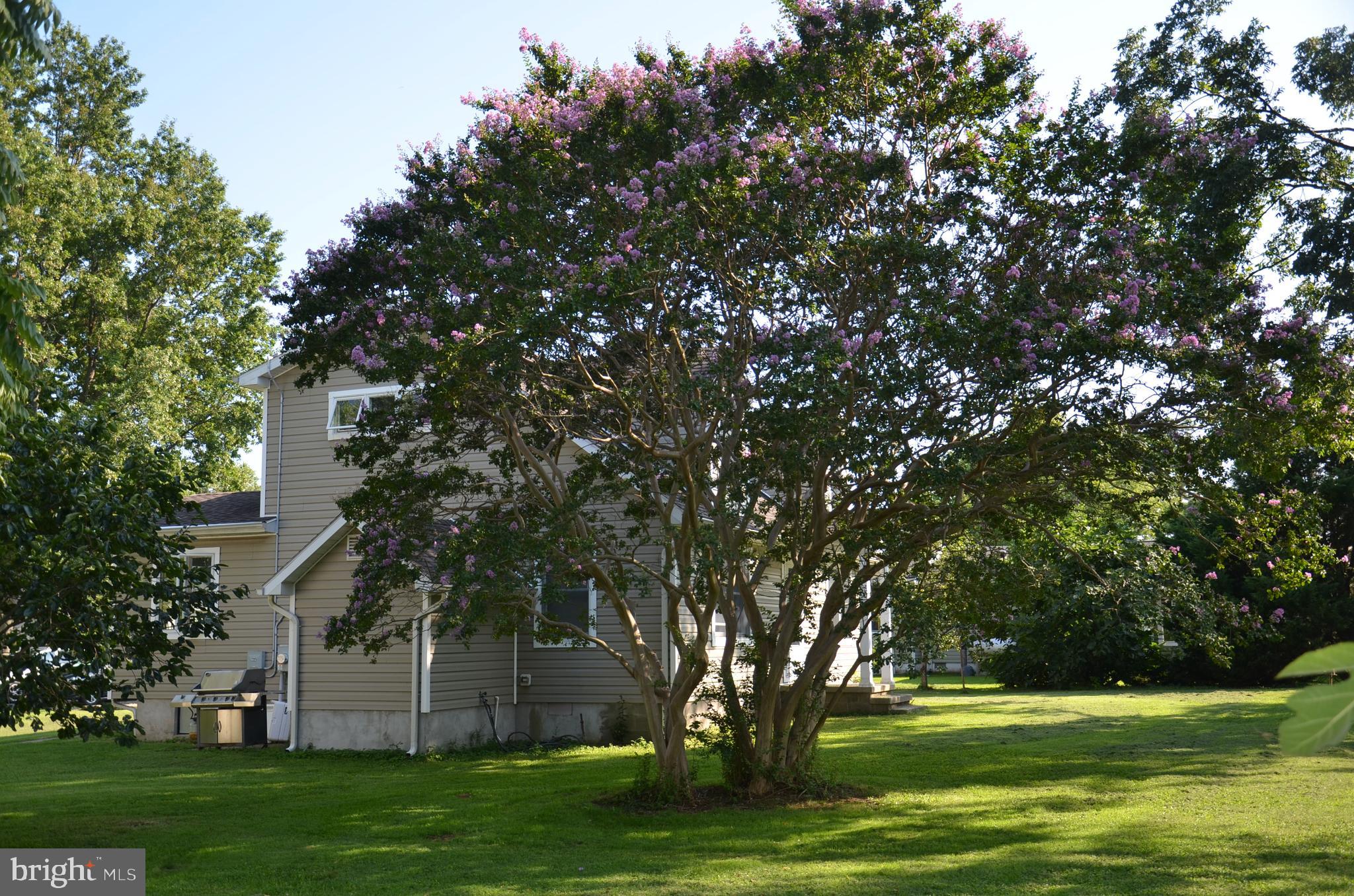 21545 Mission Road Tilghman, MD 21671 - Photo 31 of 33 Gallery Image 31