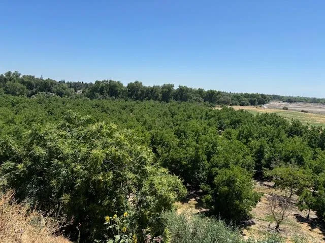 a view of a green field