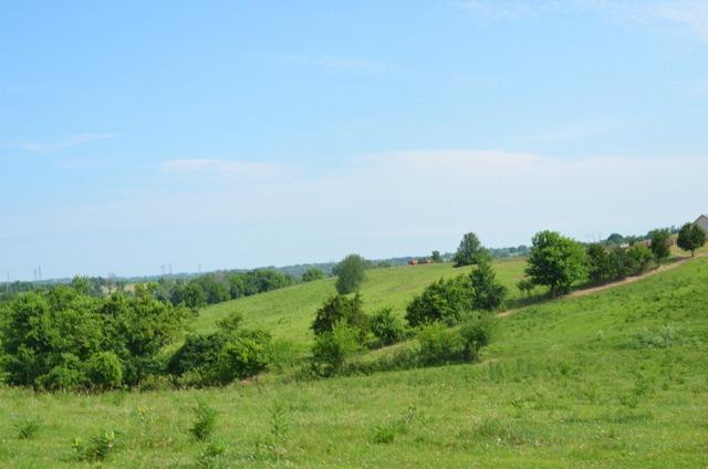 3887 High Bridge Road Lancaster, KY 40444 - Photo 60 of 97 Photo 60