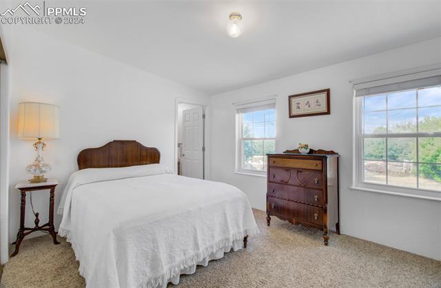 12825 Garrett Road Peyton, CO 80831 - Photo 30 of 47 Bedroom with light carpet