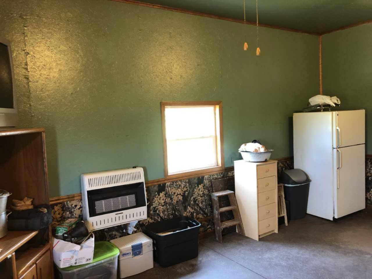 4701 Carlson Road Stanton, MI 48888 - Photo 24 of 30 download (15)