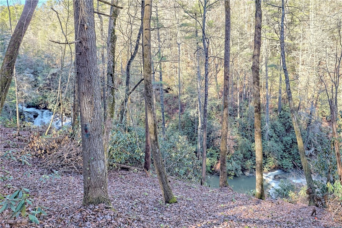 14 Big Shoals Road Tiger, GA 30576 - Photo 21 of 25