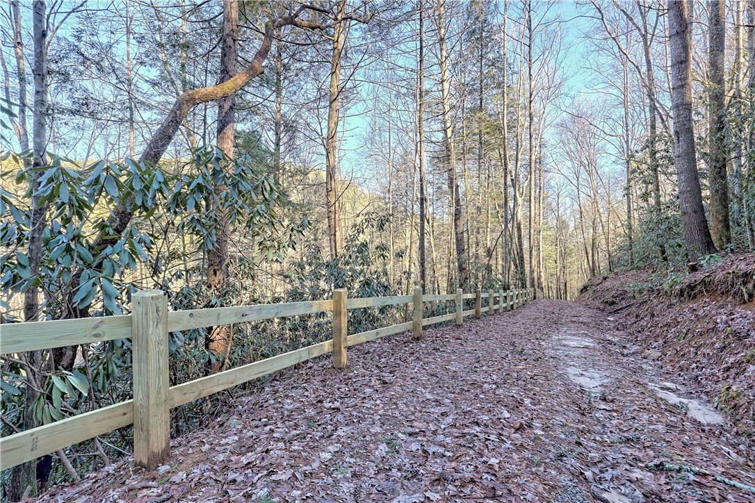 14 Big Shoals Road Tiger, GA 30576 - Photo 6 of 25