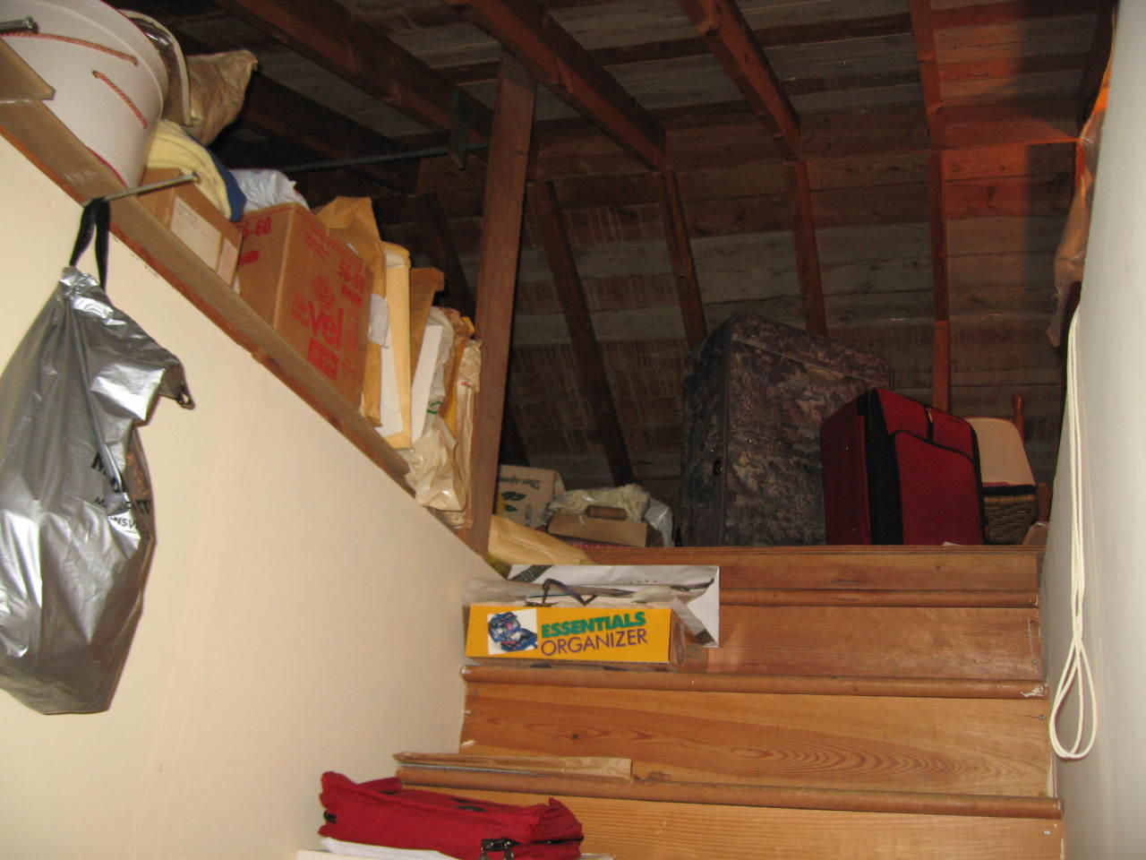 3528 Grandin Road Southwest Roanoke, VA 24018 - Photo 13 of 22 Attic