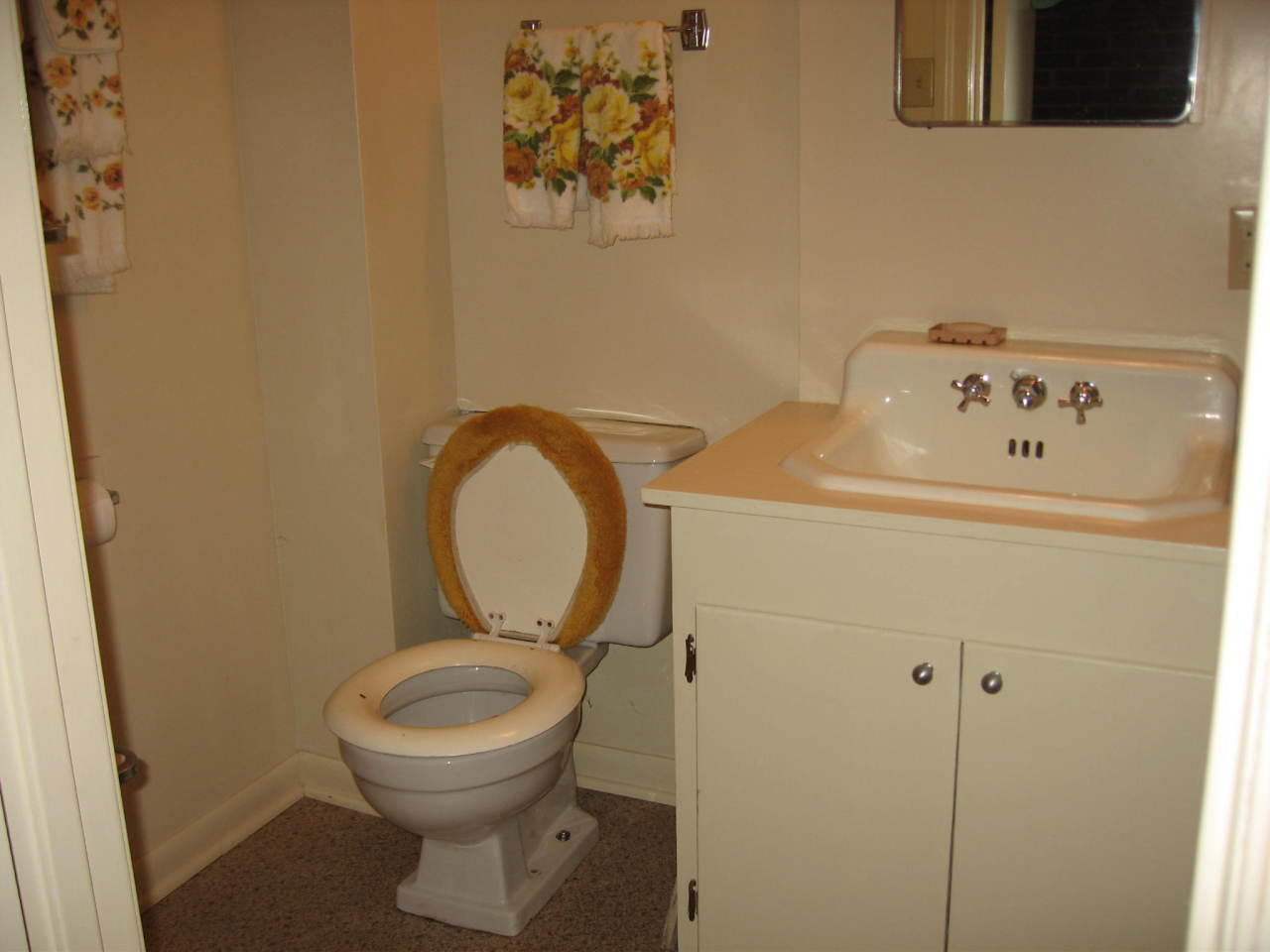 3528 Grandin Road Southwest Roanoke, VA 24018 - Photo 16 of 22 Bathroom