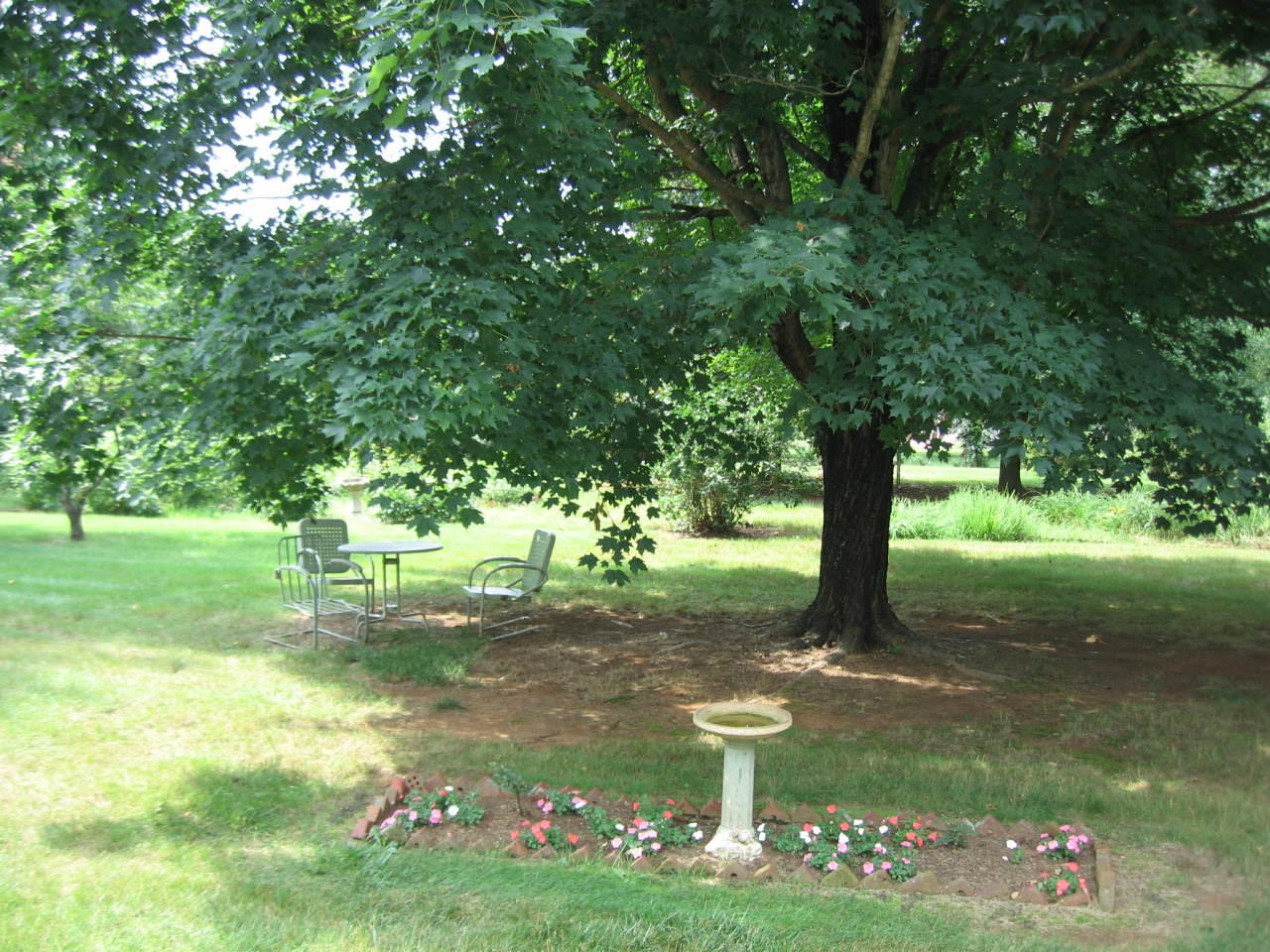 3528 Grandin Road Southwest Roanoke, VA 24018 - Photo 18 of 22 Backyard